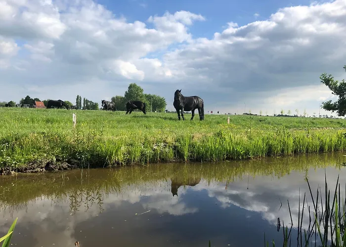 Vakantiehuis In Friesland Voor De Hele Familie