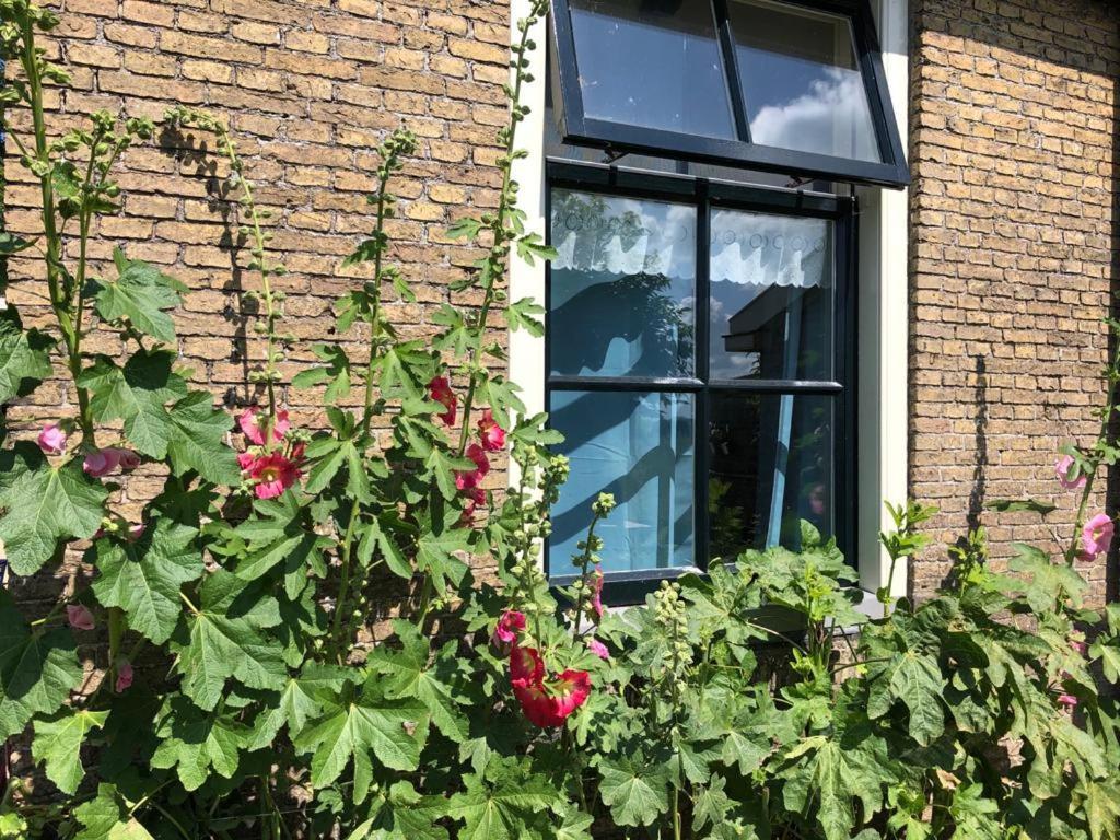 In Friesland Voor De Hele Familie Huns