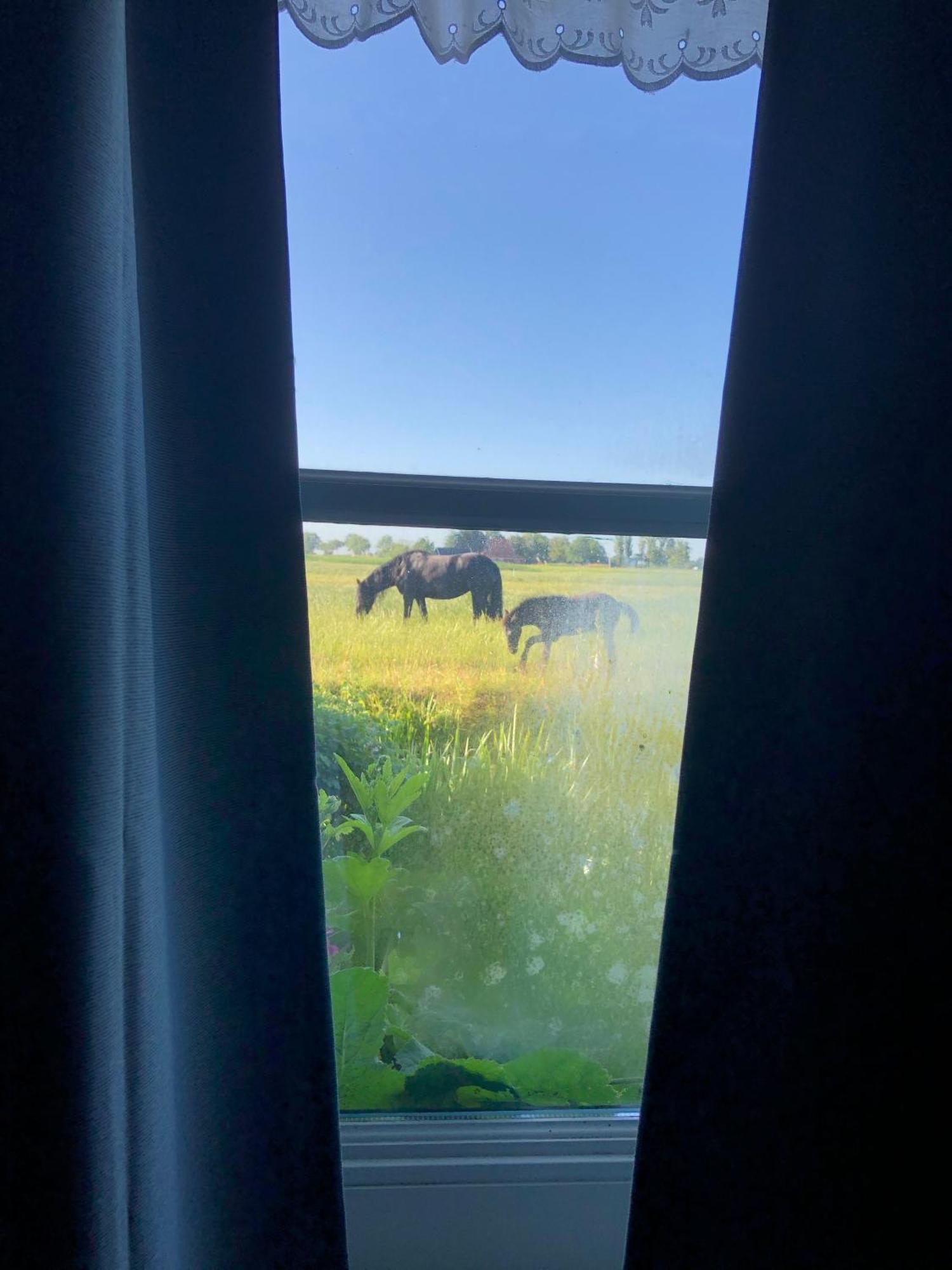 In Friesland Voor De Hele Familie Casa vacanze *